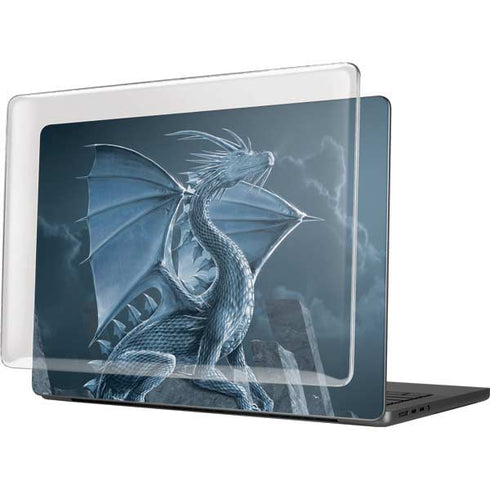 Silver Dragon by Vincent Hie MacBook Pro 14in (2021-24) Case plus Skin